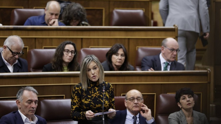 Sektore publikoko zerbitzu-kontratuak berrikusteko eskatu du Euskal Taldeak, LGSra egokitzeko
